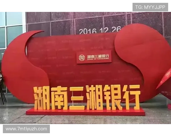 PNG电子品牌介绍与发展历程，了解行业领先企业的创新之路